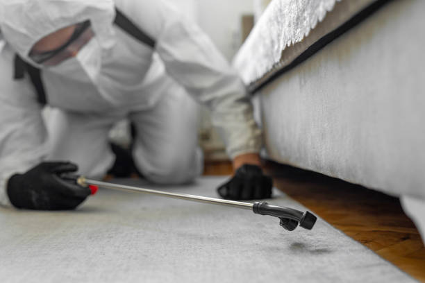 Professional Bed Bug Control technician working in Morrisville, NY