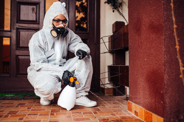 Reliable Bed Bug Control contractor in Morrisville, NY by Nex Pest Control